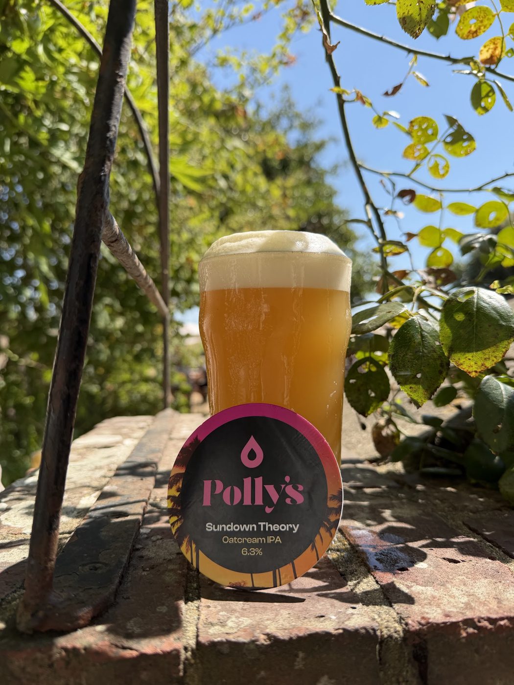 A glass of Polly’s lager on the garden wall